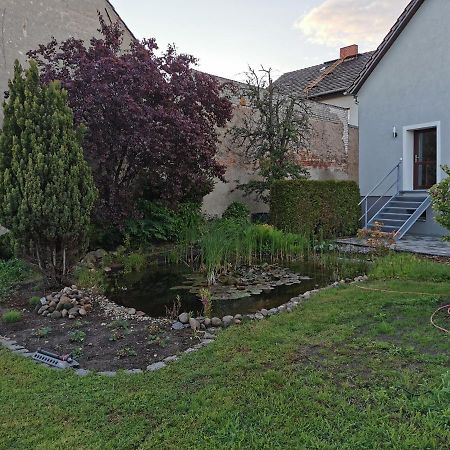 Fewo Rohleder De Mit 130M2 Und Garten Fuer 6Pers Mit 2 Bad Cottbus Exterior foto