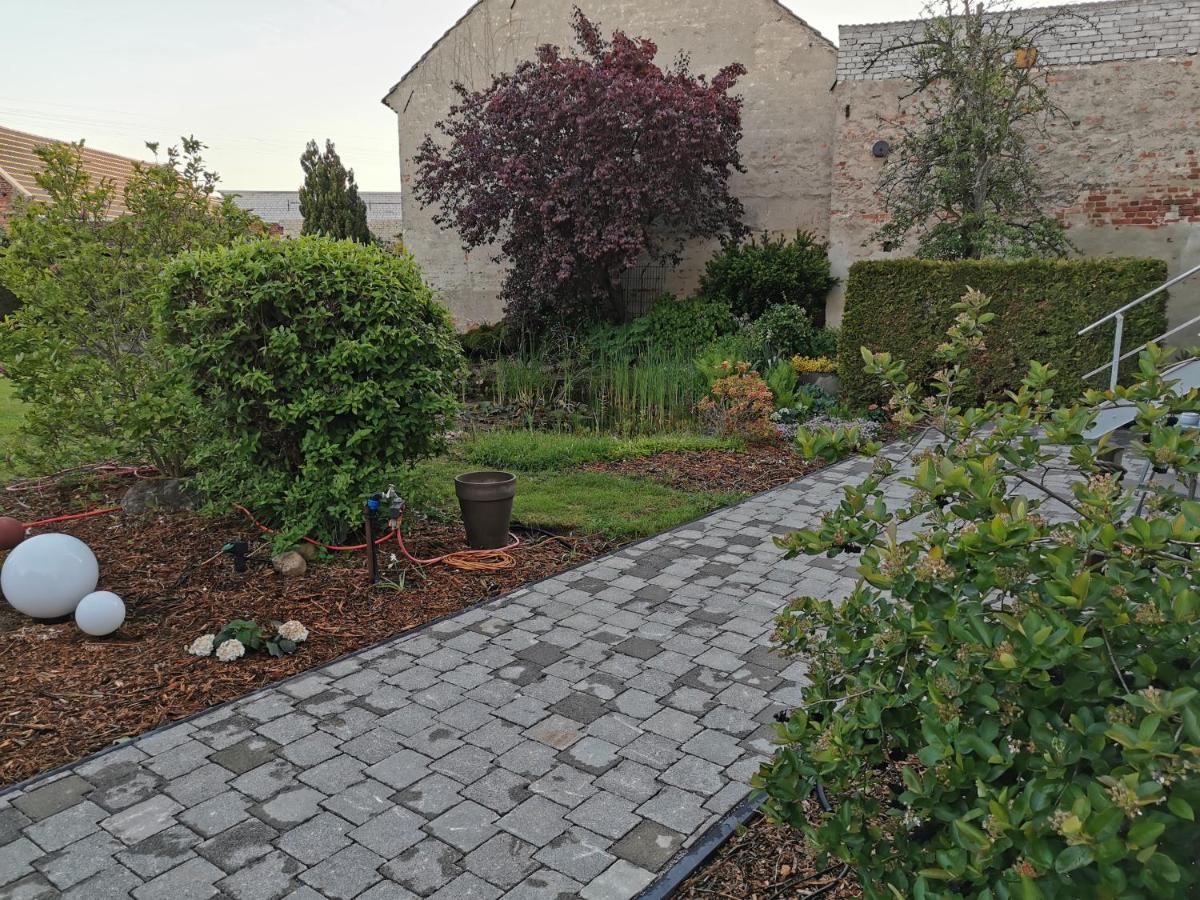 Fewo Rohleder De Mit 130M2 Und Garten Fuer 6Pers Mit 2 Bad Cottbus Exterior foto