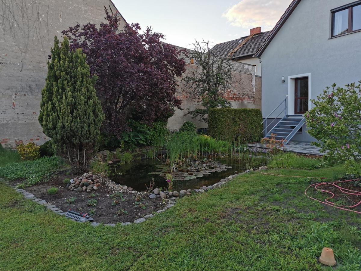 Fewo Rohleder De Mit 130M2 Und Garten Fuer 6Pers Mit 2 Bad Cottbus Exterior foto