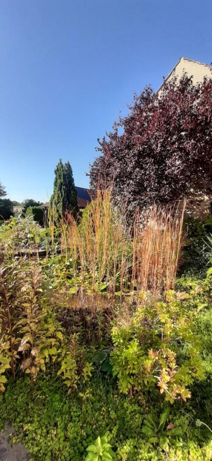 Fewo Rohleder De Mit 130M2 Und Garten Fuer 6Pers Mit 2 Bad Cottbus Exterior foto
